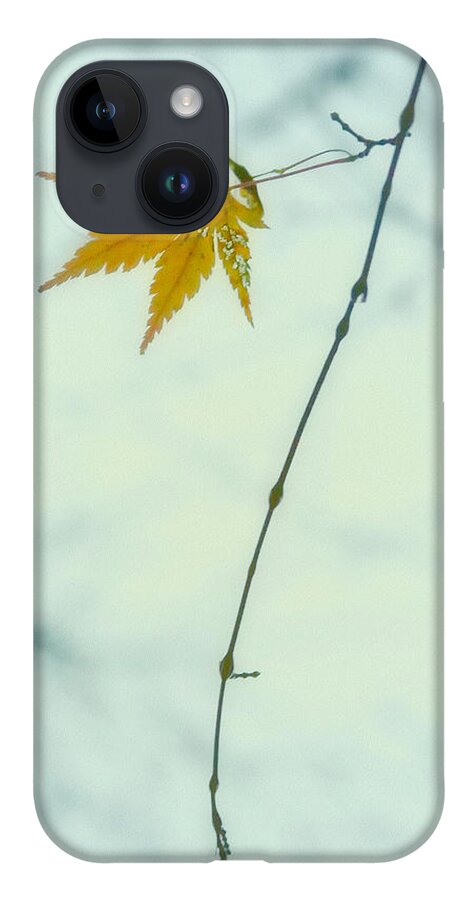 Fall iPhone 14 Case featuring the photograph A Single Leaf by Jonathan Nguyen