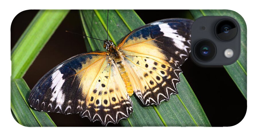 Leopard Lacewing iPhone 14 Case featuring the photograph Butterfly on Leaves by Tamara Becker