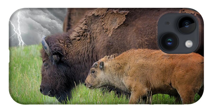 Horned iPhone 14 Case featuring the photograph Adult And Baby Bison In A Stormy Meadow by Dean Fikar