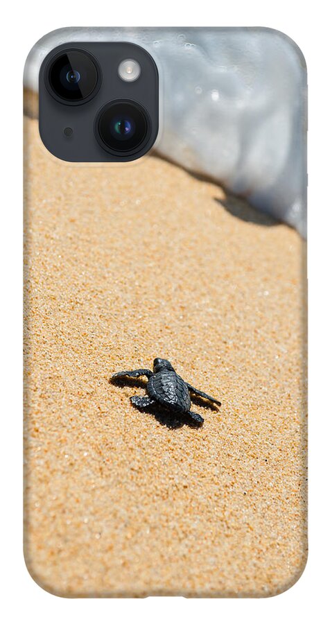 Beach iPhone Case featuring the photograph Almost Home by Sebastian Musial