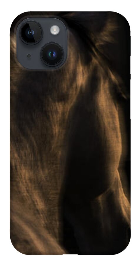 Andalusia iPhone 14 Case featuring the photograph Americano 19 by Catherine Sobredo