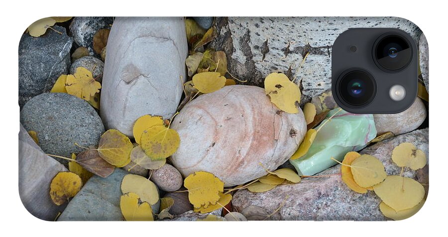Aspen iPhone 14 Case featuring the photograph Aspen Leaves on the Rocks by Dorrene BrownButterfield