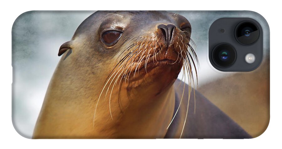 Sea Lion iPhone Case featuring the photograph At the Sea by Leda Robertson