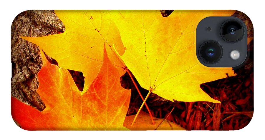 Fine Art iPhone 14 Case featuring the photograph Autumn Fire by Rodney Lee Williams