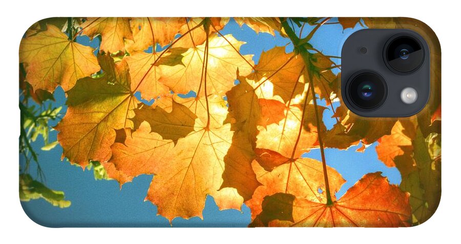 Autumn iPhone 14 Case featuring the photograph Autumn Found by Spikey Mouse Photography