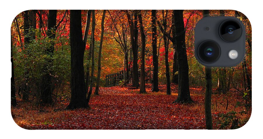 Autumn iPhone 14 Case featuring the photograph Autumn III by Raymond Salani III