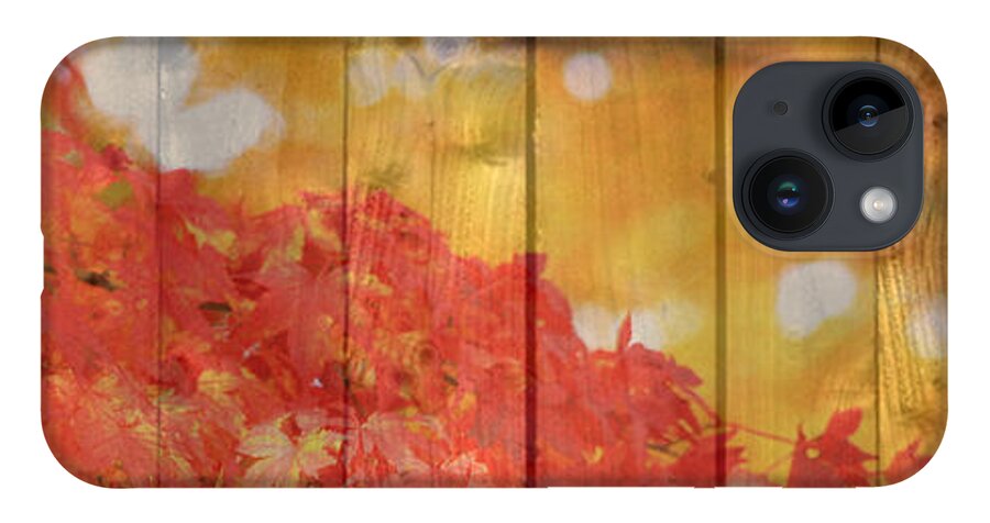 Autumn iPhone Case featuring the photograph Autumn Outdoors 1 of 2 by Beverly Claire Kaiya