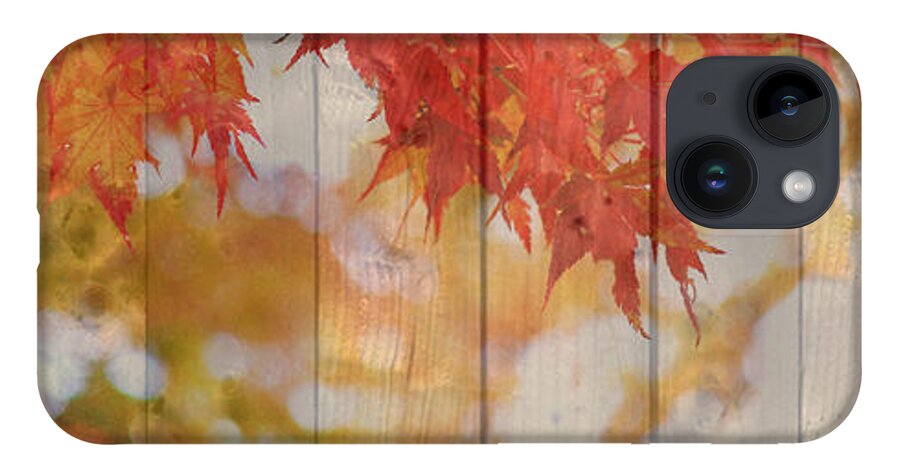 Autumn iPhone Case featuring the photograph Autumn Outdoors 2 of 2 by Beverly Claire Kaiya