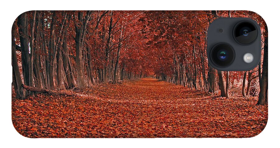 Autumn iPhone 14 Case featuring the photograph Autumn by Raymond Salani III
