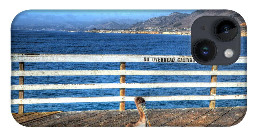 Pelican Picture iPhone 14 Case featuring the photograph Aw Shucks Guys by Mathias 