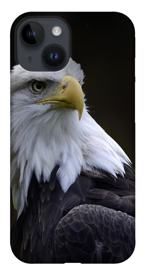 Wilds iPhone Case featuring the photograph Bald Eagle by Ann Bridges