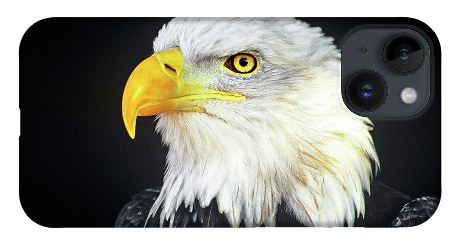 Bald Eagle iPhone 14 Case featuring the photograph Bald Eagle Hailaeetus Leucocephalus Wildlife Rescue by Dave Welling