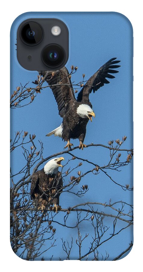 Marsh iPhone 14 Case featuring the photograph Bald Eagles Screaming DRB169 by Gerry Gantt