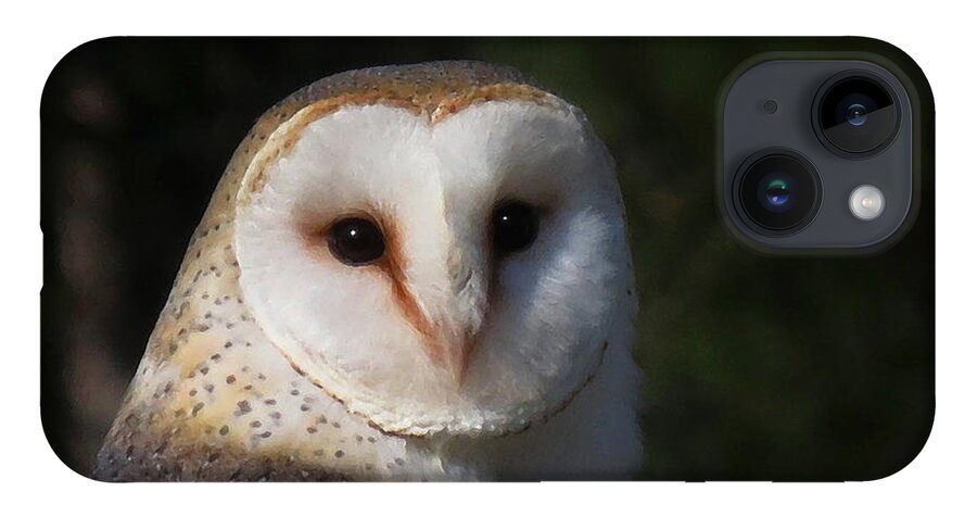 Nature iPhone 14 Case featuring the photograph Barn Owl by Deborah Smith