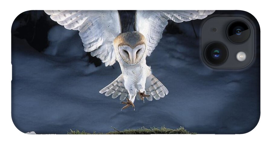 Bird iPhone Case featuring the photograph Barn Owl Landing by Manfred Danegger