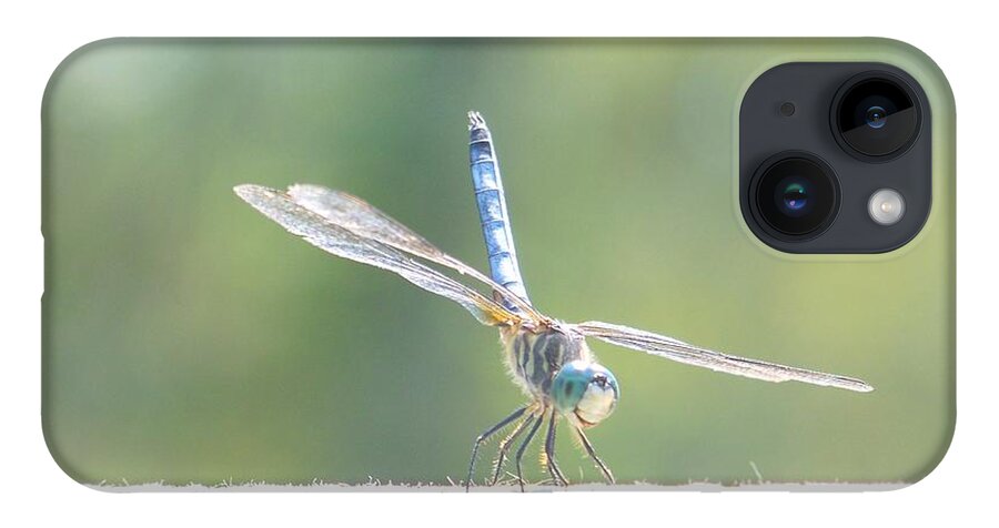 Macro iPhone 14 Case featuring the photograph Smiling Dragonfly by Eunice Miller