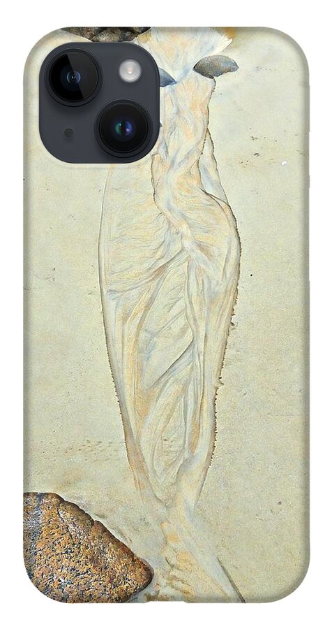 Nature iPhone 14 Case featuring the photograph Beach Sand #4 Sold 3 by Marcia Lee Jones