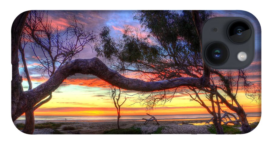 Sunset iPhone 14 Case featuring the photograph Beach Tree Sunset View by Mathias 