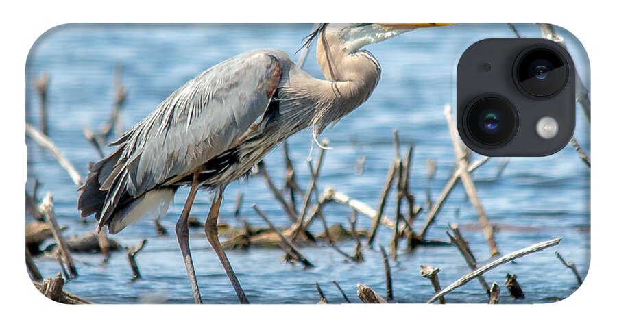 Swamp Scene iPhone 14 Case featuring the photograph Beautiful Blue Heron by Cheryl Baxter