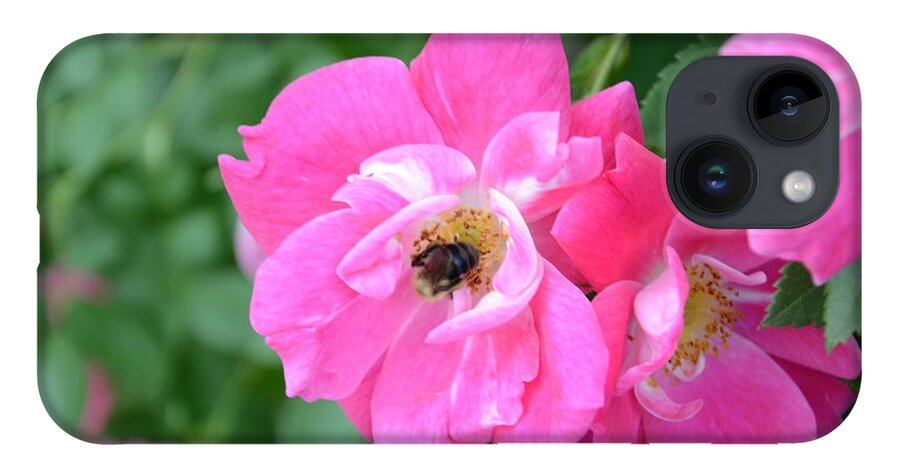 Bee iPhone 14 Case featuring the photograph Bee Rosy by Laurel Best