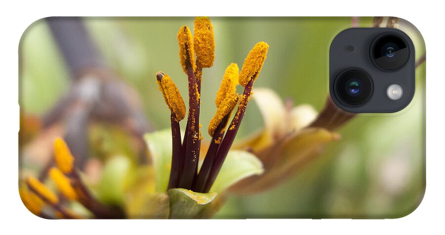 Flowers iPhone 14 Case featuring the photograph Bees Please by Derek Dean