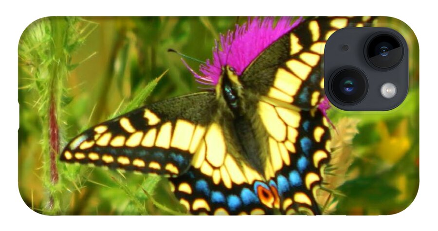 Landscape iPhone 14 Case featuring the photograph Big Beautiful Butterfly by Gallery Of Hope 