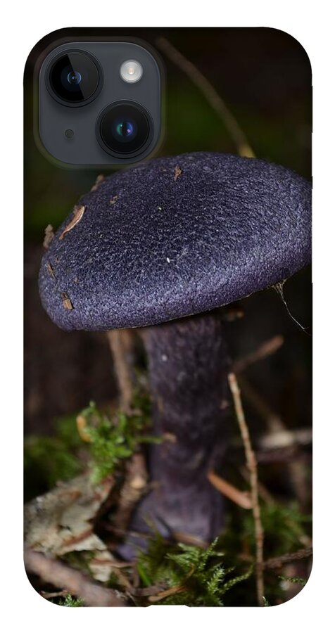 Black Mushroom iPhone 14 Case featuring the photograph Black Mushroom by Laureen Murtha Menzl