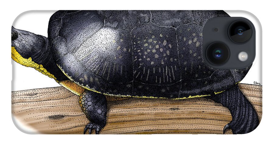 Art iPhone 14 Case featuring the photograph Blandings Turtle by Roger Hall
