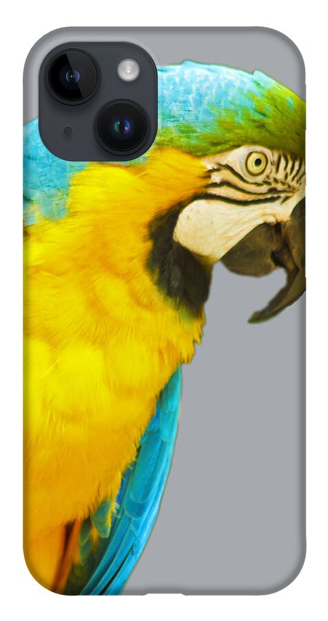 Macaw iPhone 14 Case featuring the photograph Blue and Gold Macaw by Bill Barber