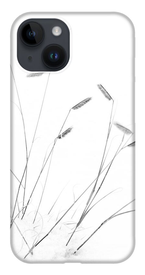 Blue Grama iPhone Case featuring the photograph Blue Grama Grass in Snow by Mary Lee Dereske