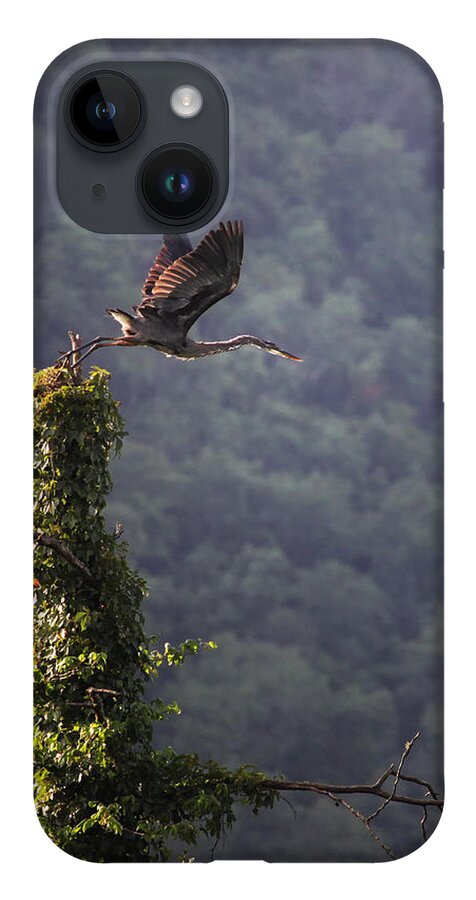 Blue Heron iPhone 14 Case featuring the photograph Blue Heron Leaving Snag by Michael Dougherty