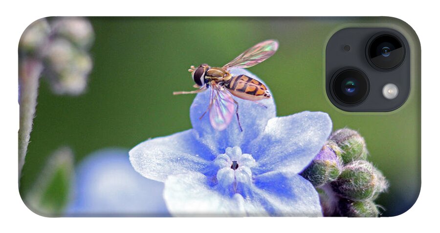 Insects iPhone 14 Case featuring the photograph Blue wasp by Jennifer Robin