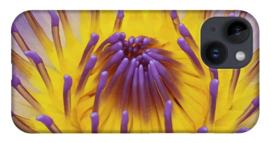 Water Lily iPhone 14 Case featuring the photograph Blue Water Lily by Heiko Koehrer-Wagner