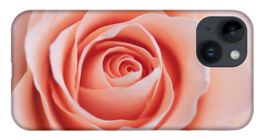 Soft iPhone 14 Case featuring the photograph Blush Rose by Ana V Ramirez