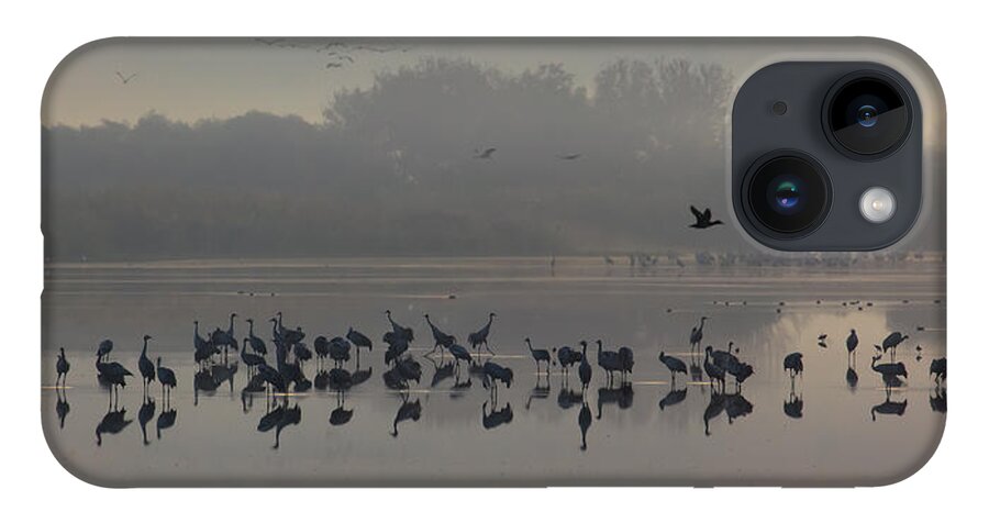 Cranes iPhone 14 Case featuring the photograph Break of a New Day by Uri Baruch