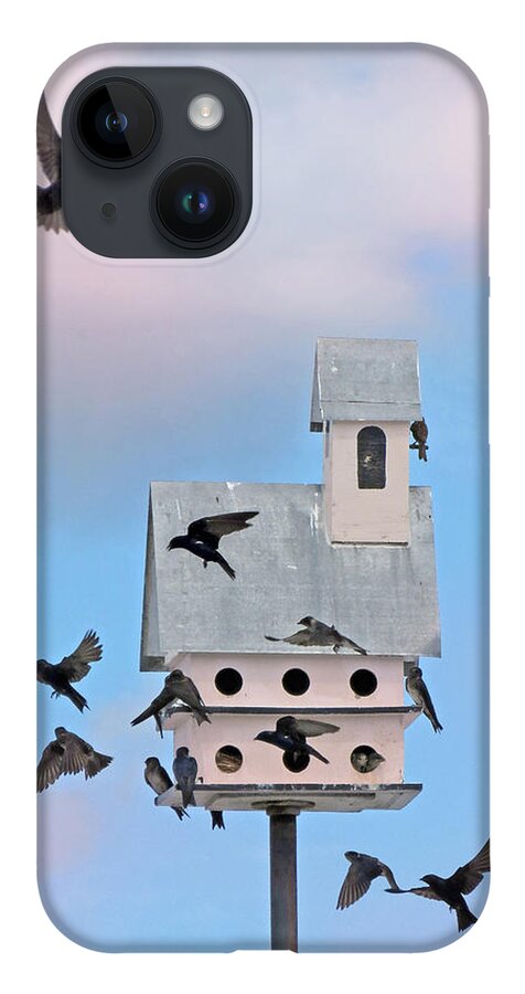 Birds iPhone Case featuring the photograph Brealfast at the Martin House by Deborah Smith