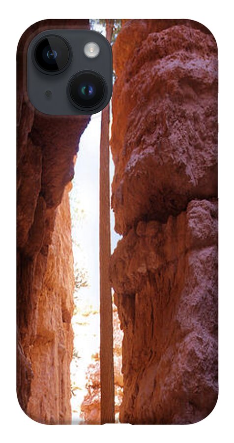 Bryce Canyon iPhone 14 Case featuring the photograph Bryce Canyon from the Bottom Panoramic by Mike McGlothlen
