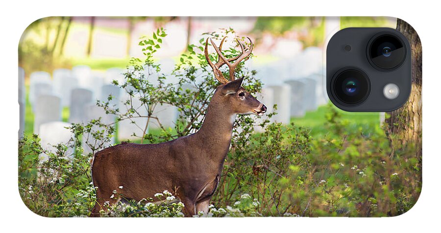 Deer iPhone 14 Case featuring the photograph Buck In A Bush by Bill and Linda Tiepelman