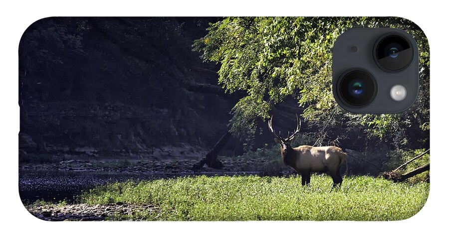 Bull Elk iPhone Case featuring the photograph Bull Elk Near Ponca Access by Michael Dougherty