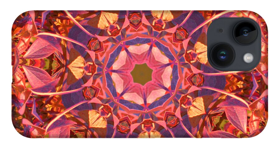 Fall iPhone Case featuring the photograph Burst of Fall Mandala by Beth Sawickie