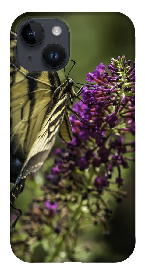 Appalachian Mountains iPhone 14 Case featuring the photograph Butterflies along the Blue Ridge by Donald Brown
