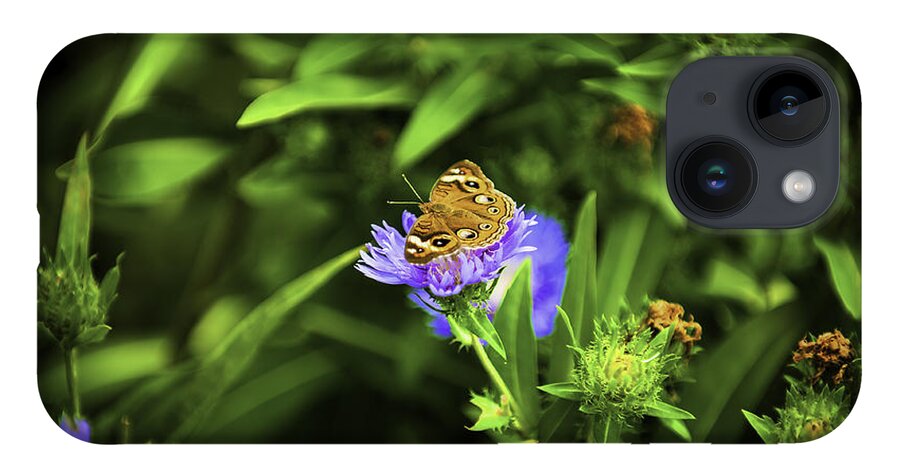 Insects iPhone 14 Case featuring the photograph Butterfly Glow by Donald Brown