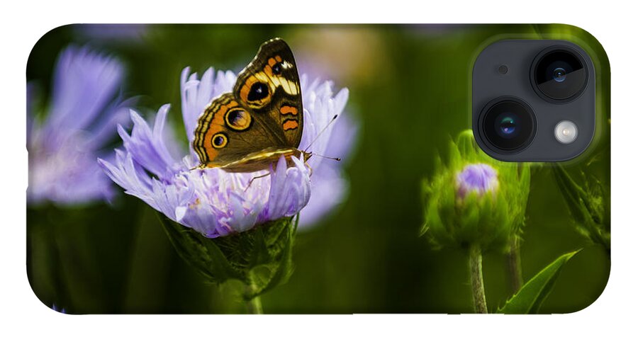 Close-ups iPhone 14 Case featuring the photograph Butterfly in Field by Donald Brown