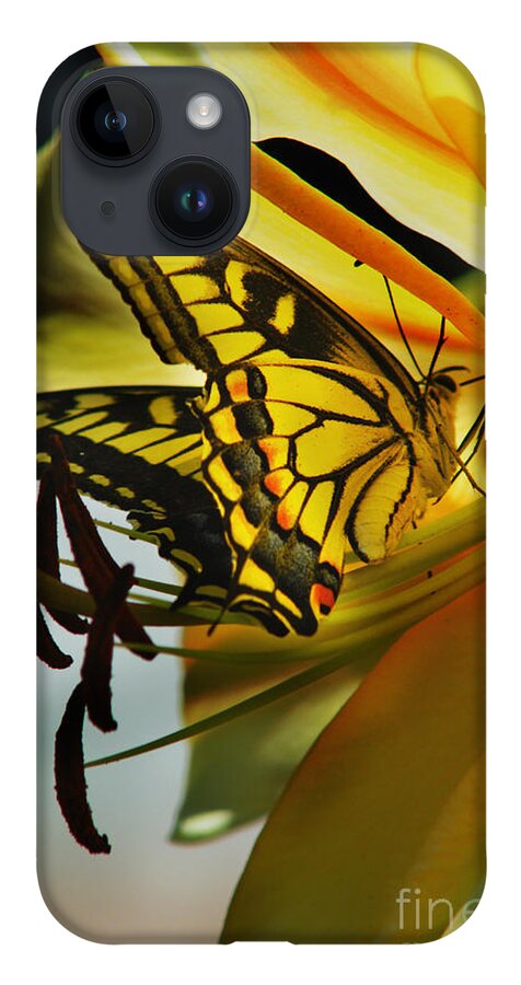 Butterfly iPhone 14 Case featuring the photograph Butterfly by Loni Collins