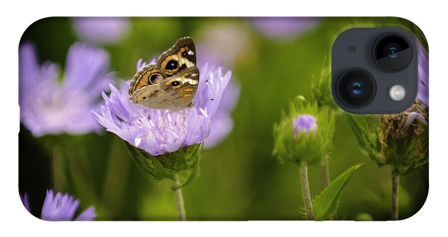 Outdoors iPhone 14 Case featuring the photograph Butterfly Spotlight by Donald Brown