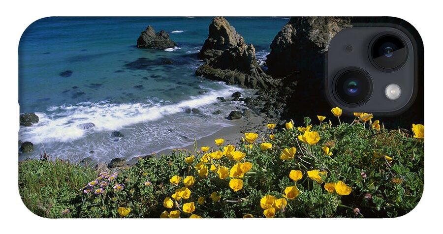 Feb0514 iPhone 14 Case featuring the photograph California Poppies Jughandle State by Tim Fitzharris