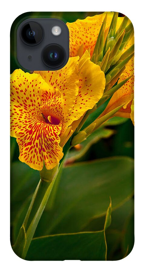 Canna iPhone 14 Case featuring the photograph Canna Blossom by Mary Jo Allen