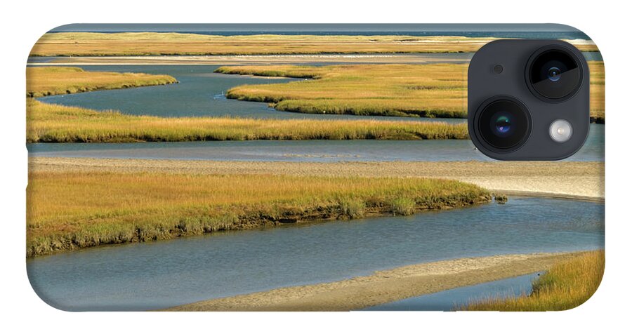 Grass iPhone 14 Case featuring the photograph Cape Cod Wetlands by Frankvandenbergh