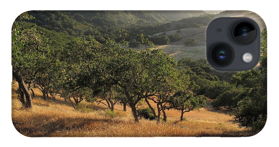 Carmel Valley iPhone 14 Case featuring the photograph Carmel Valley Number 7 by Derek Dean