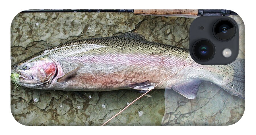 Steelhead iPhone 14 Case featuring the photograph Catch and Release by David Armstrong
